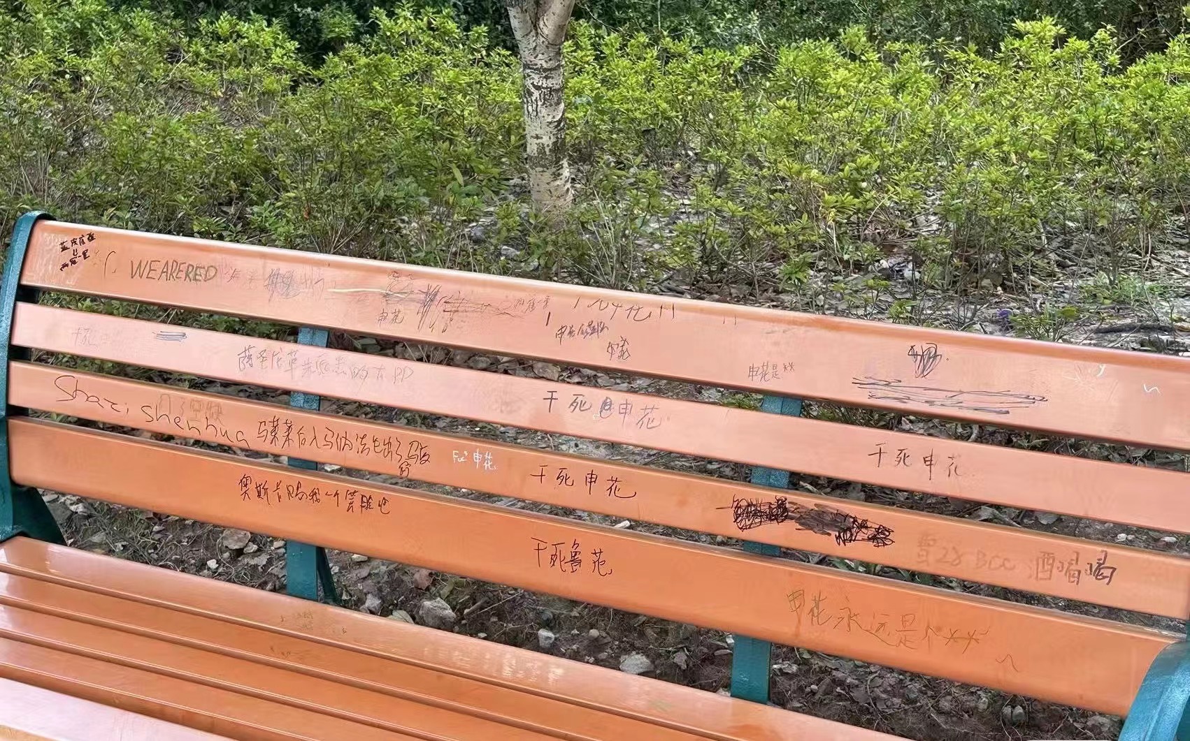 啊這球迷曬公園長凳照，靠背上寫著“干死申花”等敵意詞匯